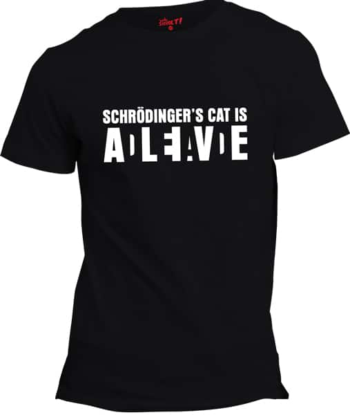 schrodinger's cat equation shirt